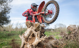 Rieju MR Pro 300